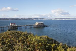 mumbles 10 sm.jpg